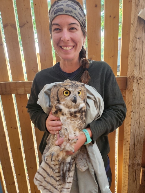 Robin Spielman, DVM